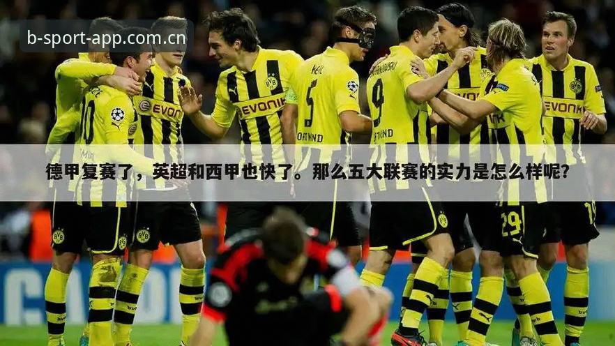 为什么B体育正版入口最新版成为体育爱好者关注的焦点？